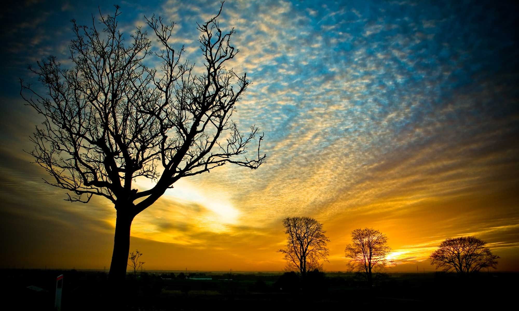 新宿池袋|ヒーリング占い師タニア